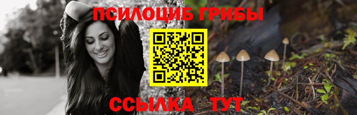 Галлюциногенные грибы мицелий Лесосибирск